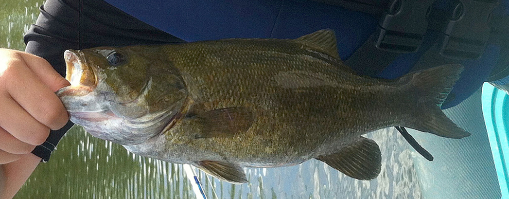 Great Bass Fishing Nearby