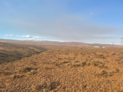 Looking across the property