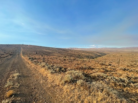 Dirt drive to the property